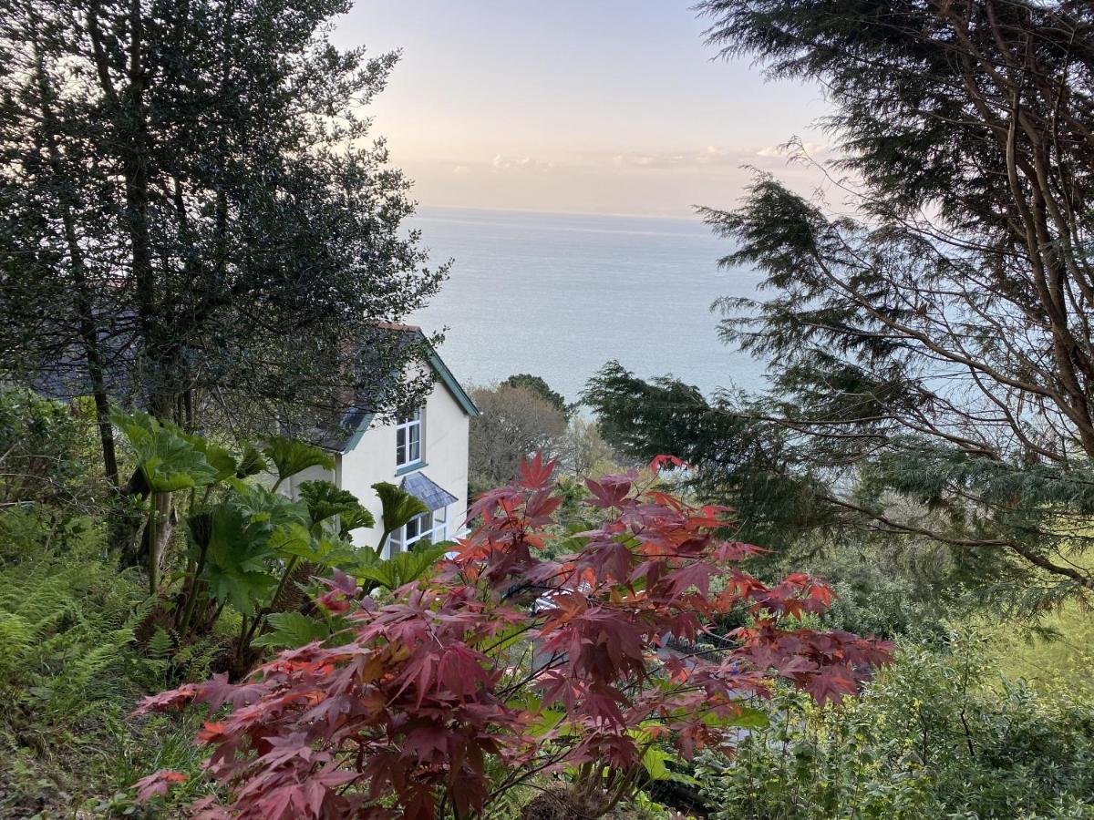 North Walk House Bed and Breakfast Lynton Exteriör bild