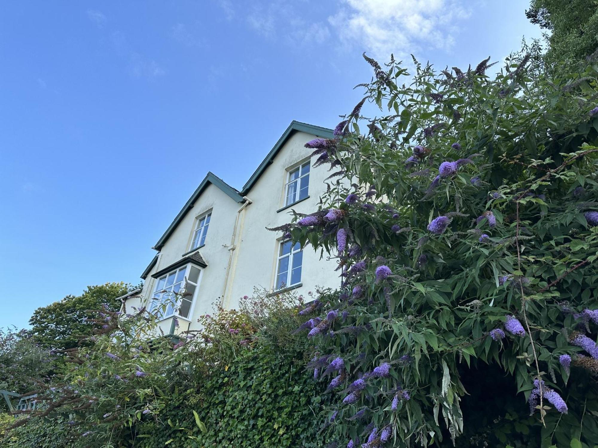 North Walk House Bed and Breakfast Lynton Exteriör bild